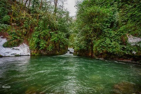 დაცული ტერიტორიები დასავლეთ საქართველოში
