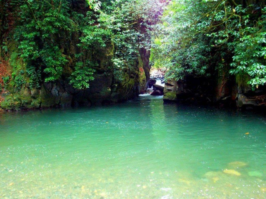 დაცული ტერიტორიები დასავლეთ საქართველოში