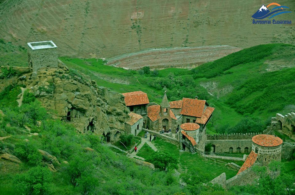 დავით გარეჯი