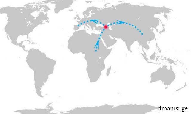 დმანისის არქეოლოგიური ძეგლი