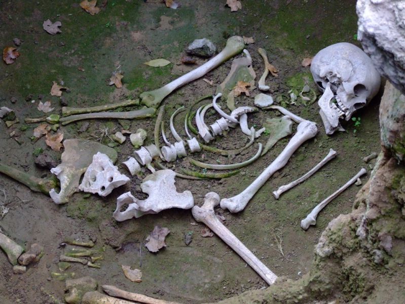 დმანისის არქეოლოგიური ძეგლი