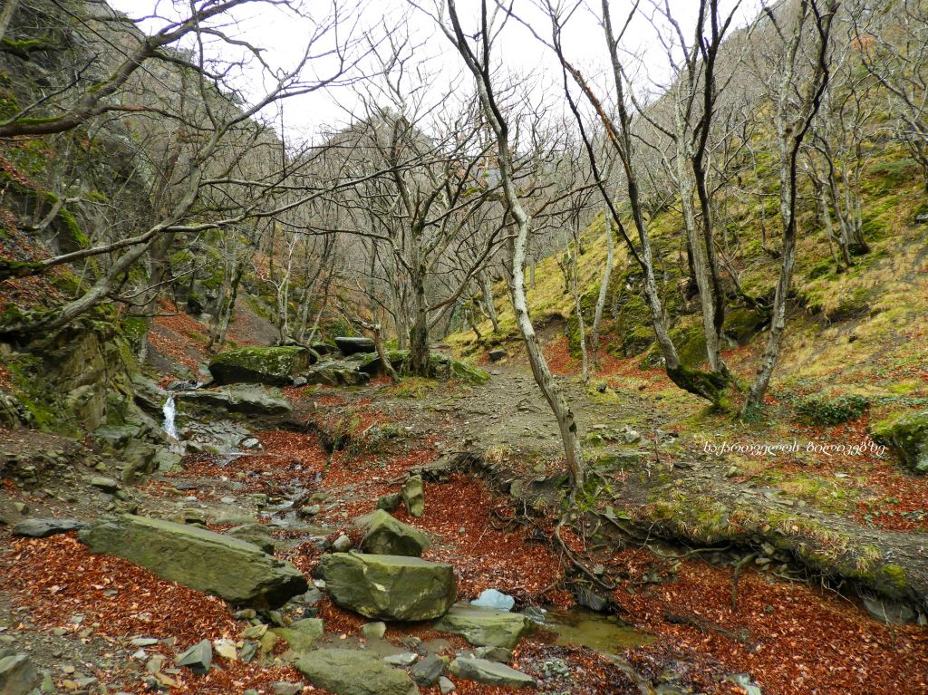 კარსანი, არმაზი, ბაგინეთი