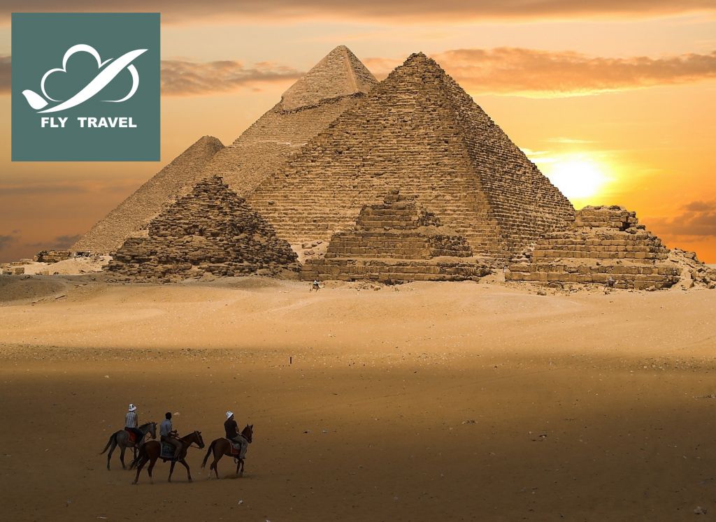 ეგვიტე დღის შეთავაზება!