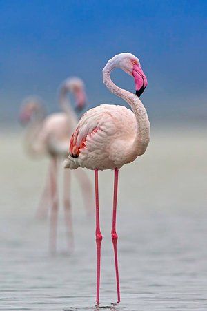 კვიპროსი / ლარნაკა