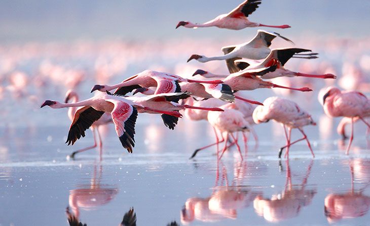 კვიპროსი / ლარნაკა