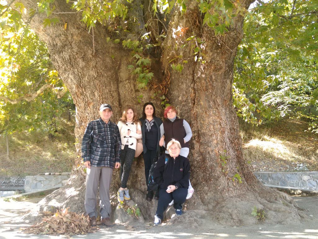 ღვინის ტურები თელავში, წინანდალში და ყვარელში !