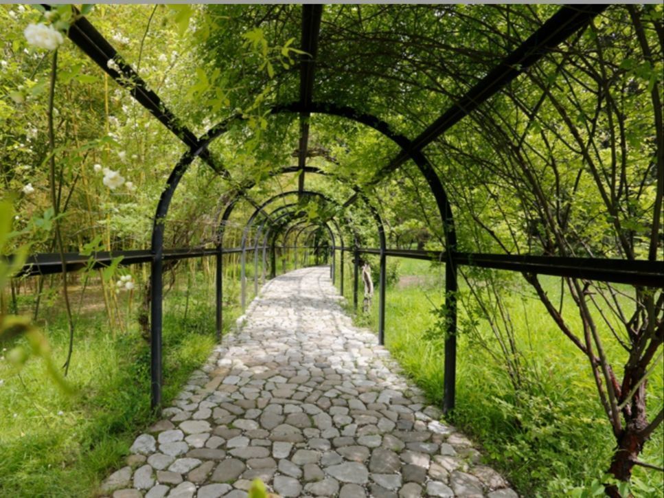 მარტს შაბათს კახეთის ტური..სიღნაღი-ბოდბე-ყვარელი-წინანდალი-შუამთა