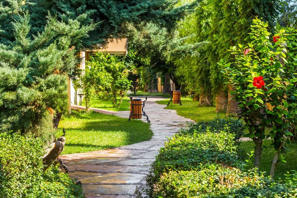 თურქეთი- ნაადრევი ჯავშნები