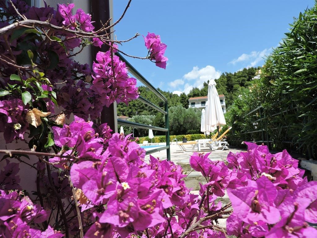 Полуостров Халкидики / Греция