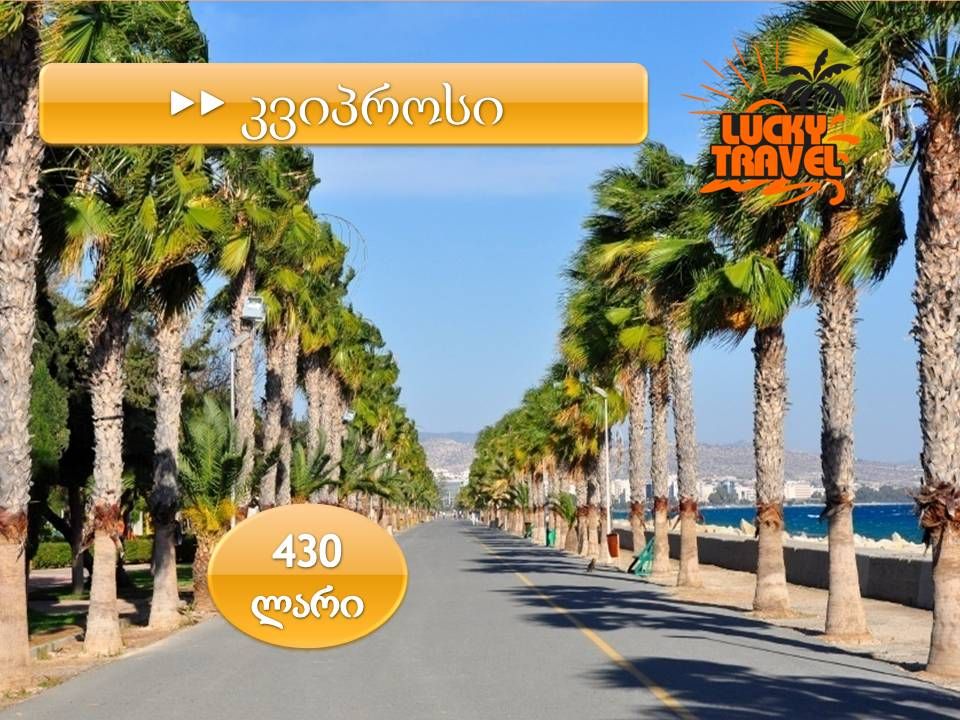 კვიპროსი  დღის ფასი!