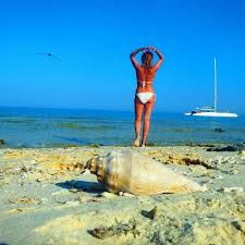 წინასწარი ჯავშნები ჰურგადაზე!!!