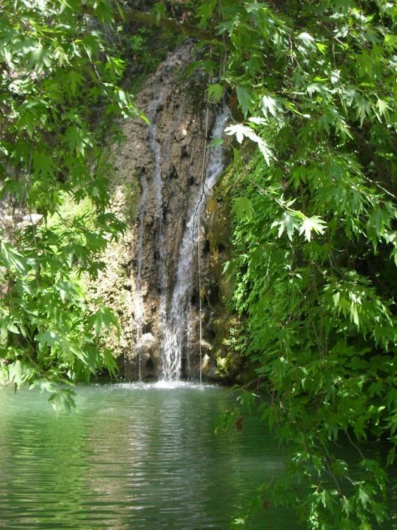 კვიპროსი