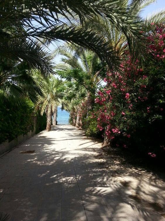 კვიპროსი