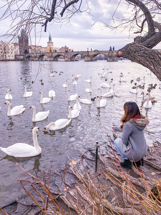 ₾-ად პრაღაში დღე