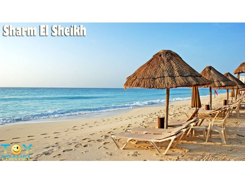 satransporto kompania io io gtavazobt gamsvlel saeskursio turebs saqartvelos regionebshi