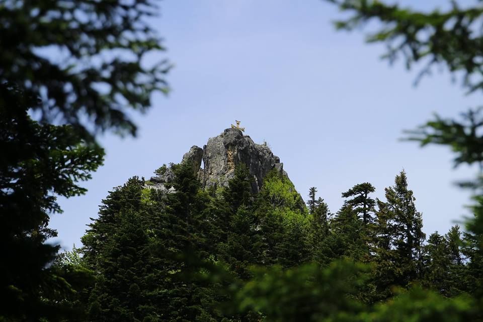 ორ დღიანი ტური რაჭაში