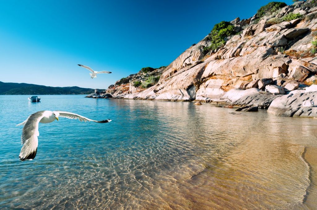 დღიანი ტური ჰალკიდიკიში -