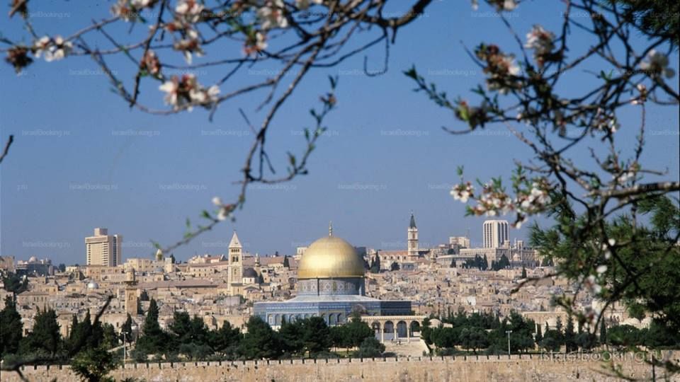 ✈️☀️ისრაელი საექსკურსიო ტური წმინდა მიწაზე ❤️თელავივი --- იერუსალიმი