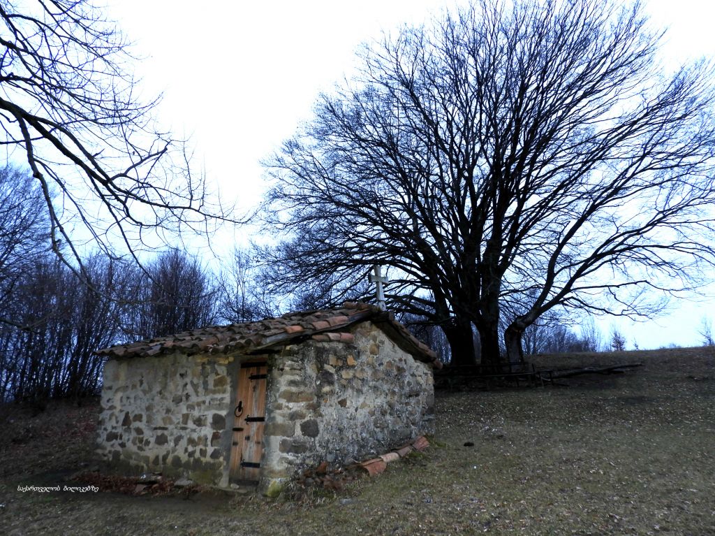 ჭერემი, ატმის ყვავილობა, ზიარის ტბა