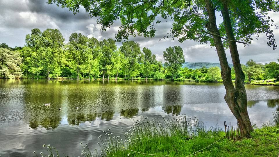 ჭერემი, ატმის ყვავილობა, ზიარის ტბა