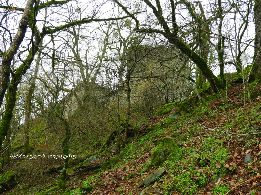 უცნობი ყვარელი