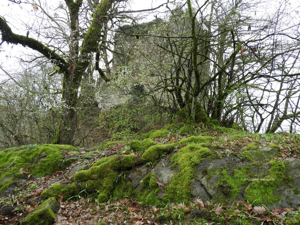 უცნობი ყვარელი