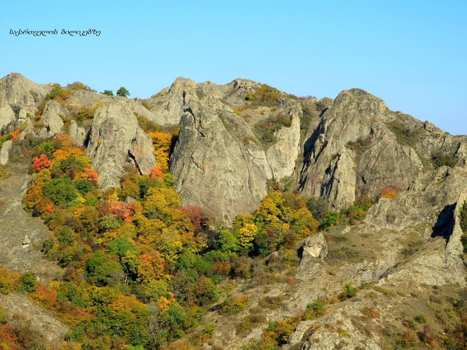 ბირთვისი