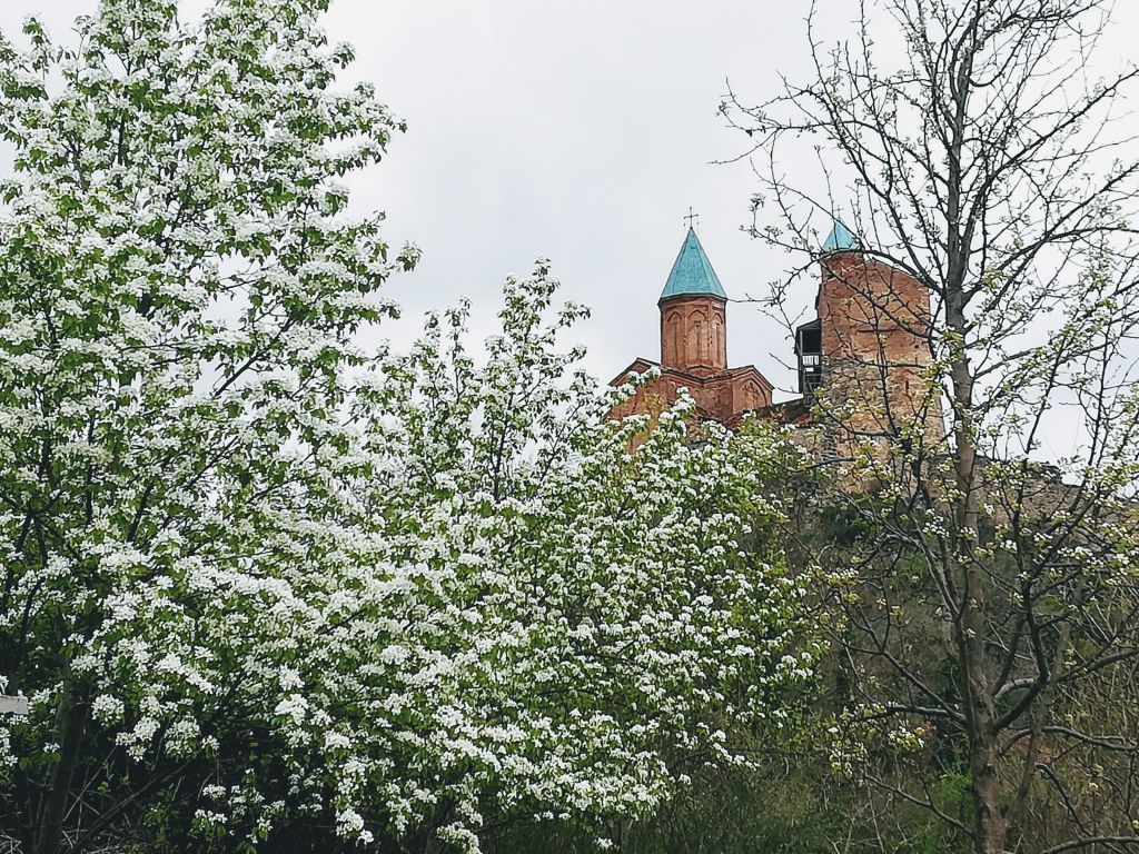 ატმის ყვავილობა < გრემი / ნეკრესი / ზეგაანი
