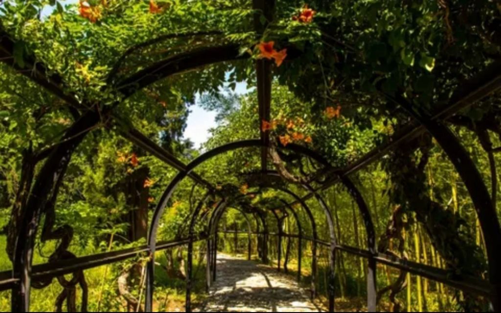 ერთდღიანი დაუვიწყარი ტური კახეთში.. - სიღნაღი-ბოდბე-ყვარელი-წინანდალი-შუამთა