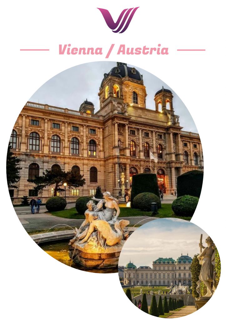 ვენის საგზური ვეგა თრეველისგან!!!