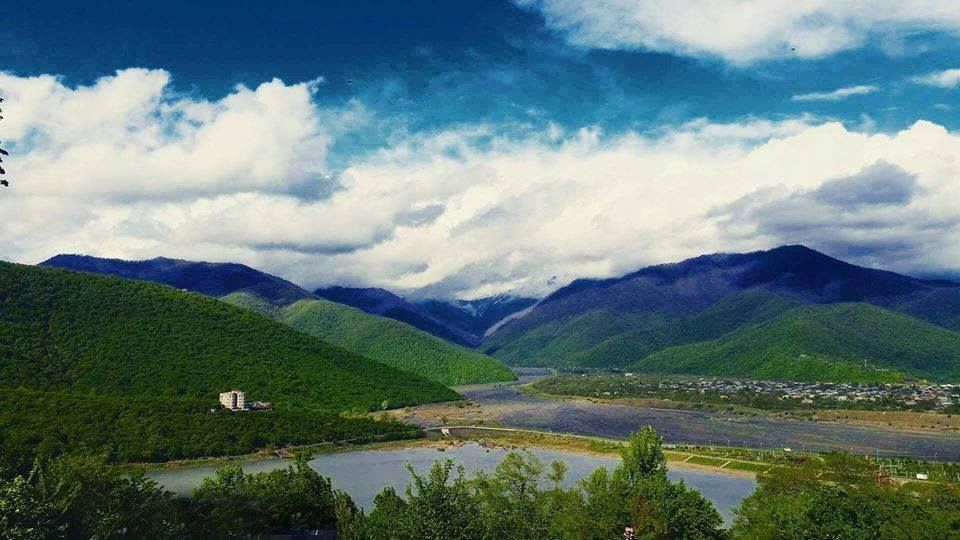 უცნობი ყვარელი - ატმის ყვავილობა