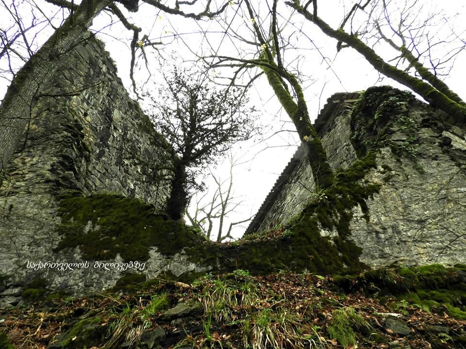 უცნობი ყვარელი - ატმის ყვავილობა