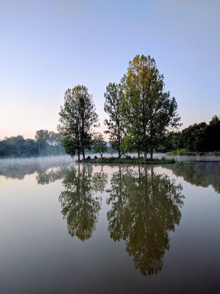 უცნობი ყვარელი - ატმის ყვავილობა