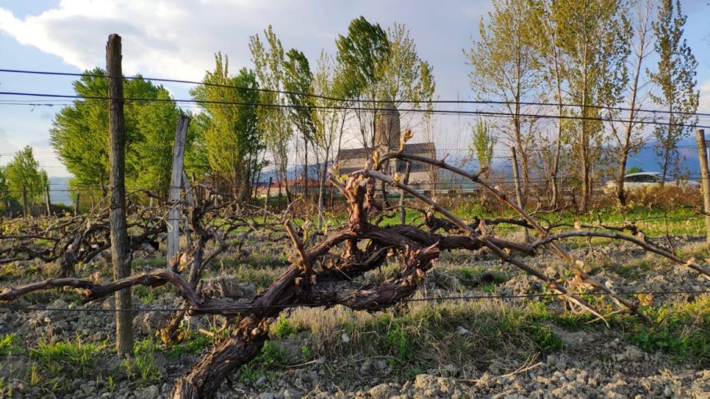 იმოგზაურე საქართველოს ნებისმიერ კუთხეში.