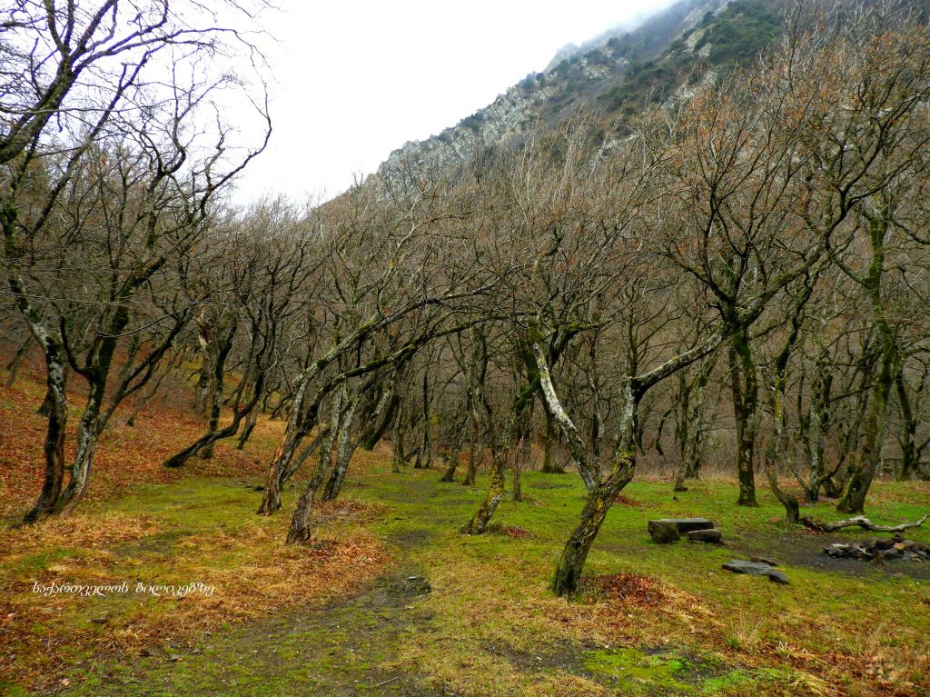 არმაზი, ბაგინეთი, კარსანი