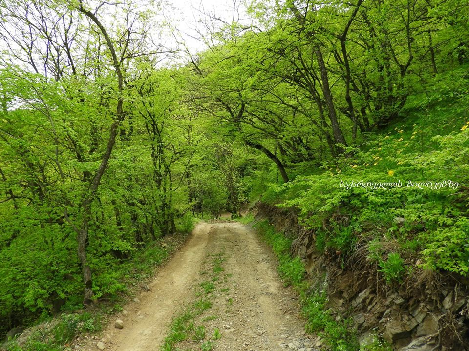 არმაზი, ბაგინეთი, კარსანი