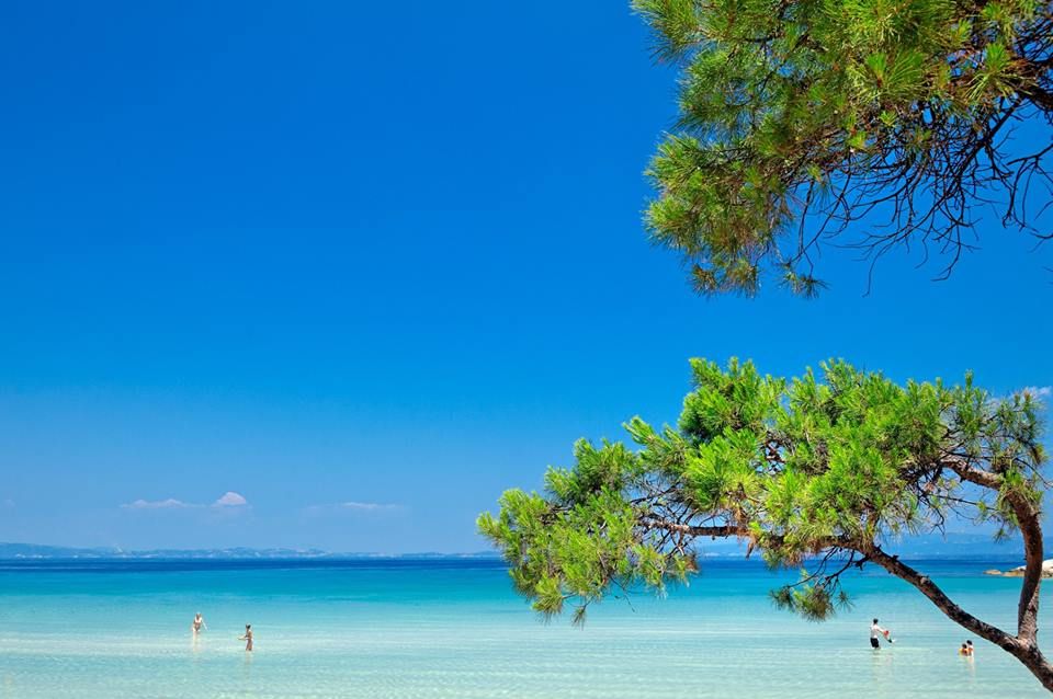 Chalkidiki / Greece from  Gel ( include flight)!