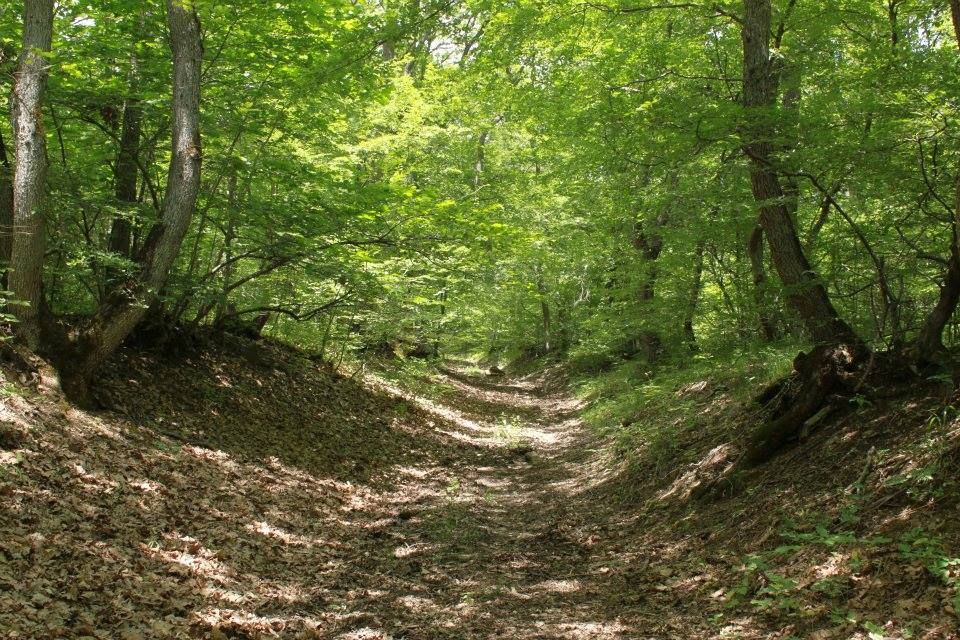 უძო, ქოროღლი, ღოუბანი. კაბენი, ასურეთი და ა.შ.