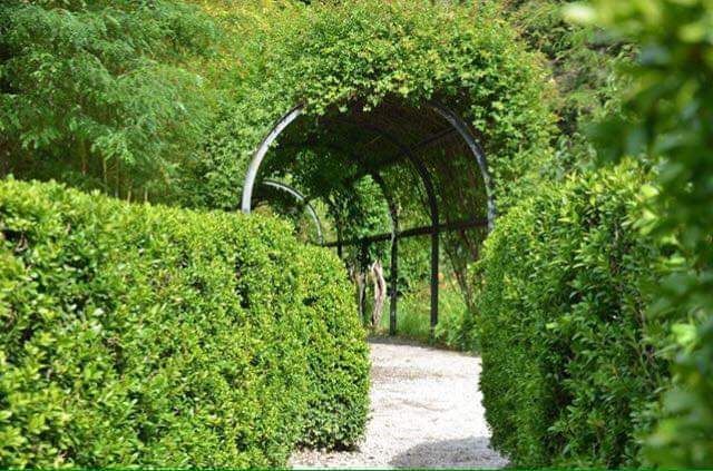 ერთდღიანი დაუვიწყარი ტური კახეთში.. - სიღნაღი-ბოდბე-ყვარელი-წინანდალი-შუამთა