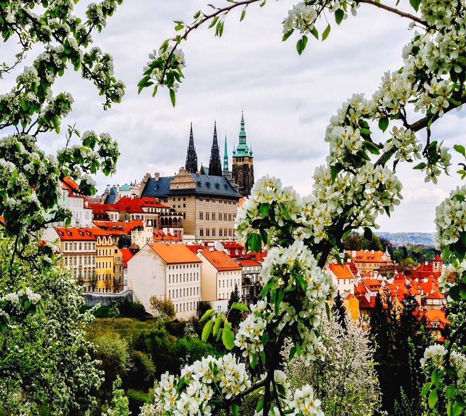 ჩეხეთი პრაღა + ერთდღიანი ექსკურსია დრეზდენში !!!