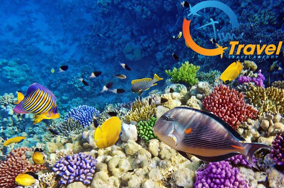 დაისვენეთ ჰურგადაში