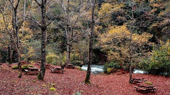Национальный парк Мтирала