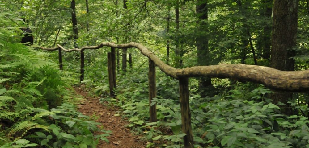 Национальный парк Мтирала