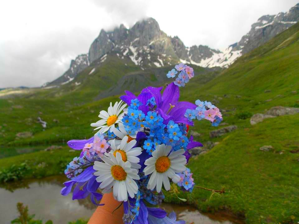 ერთ დღიანი ტური ჯუთაში