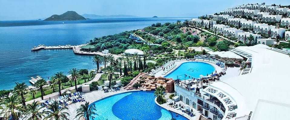 სეზონი იხსნება, ნაადრევი ჯავშნები იწყება