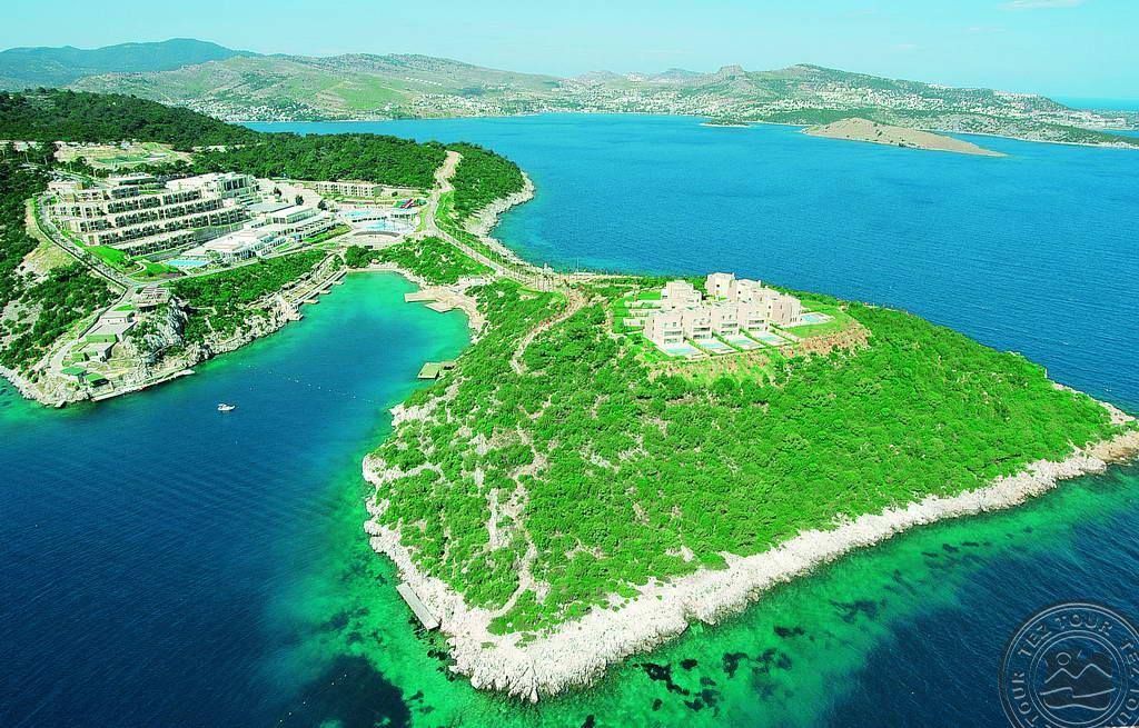 სეზონი იხსნება, ნაადრევი ჯავშნები იწყება