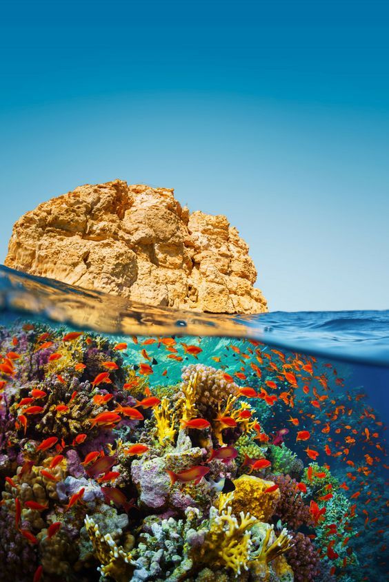 ეგვიპტე -