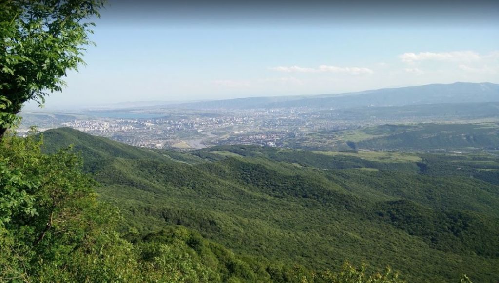 კვირაცხოვლობა - ამწვანებული ზედაზენი, ბზიანა, ნავდარაანთკარი
