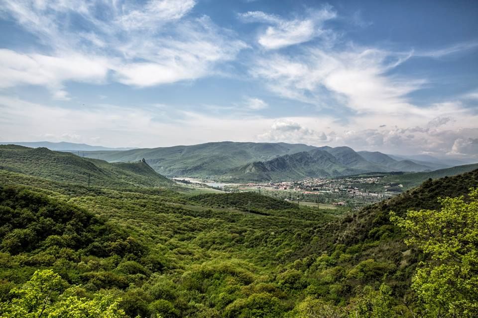 კვირაცხოვლობა - ამწვანებული ზედაზენი, ბზიანა, ნავდარაანთკარი