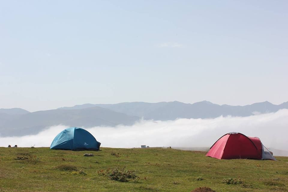 კორპორატიული ტურები
